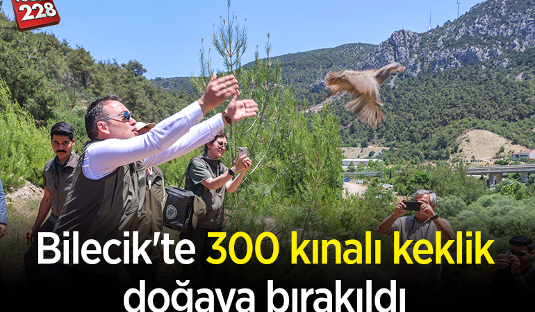 Bilecik’te 300 kınalı keklik doğaya bırakıldı