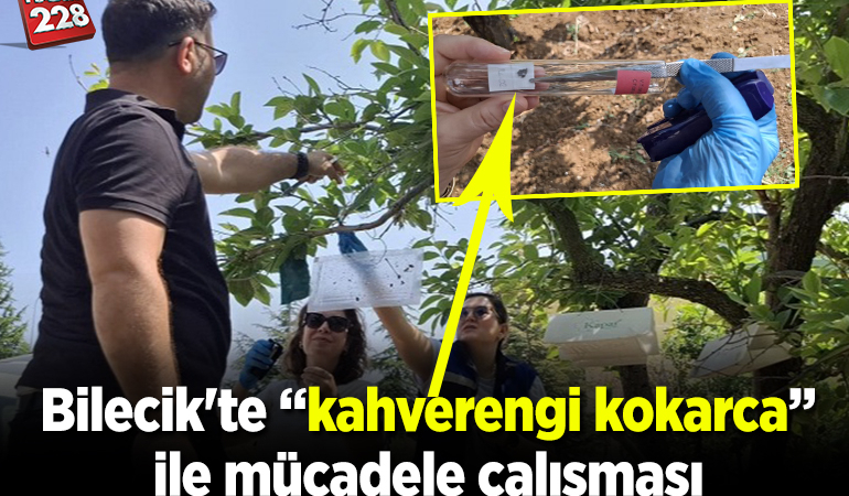 Bilecik’te “kahverengi kokarca” ile mücadele çalışması