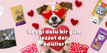 ödül