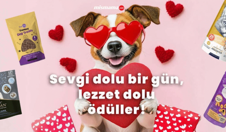 Evcil Dostlarınız İçin Akıllı Alışveriş Mama Seçiminden Pluxee ile Ödemeye Kadar Her Şey