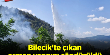 orman