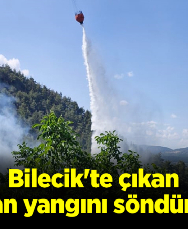 orman