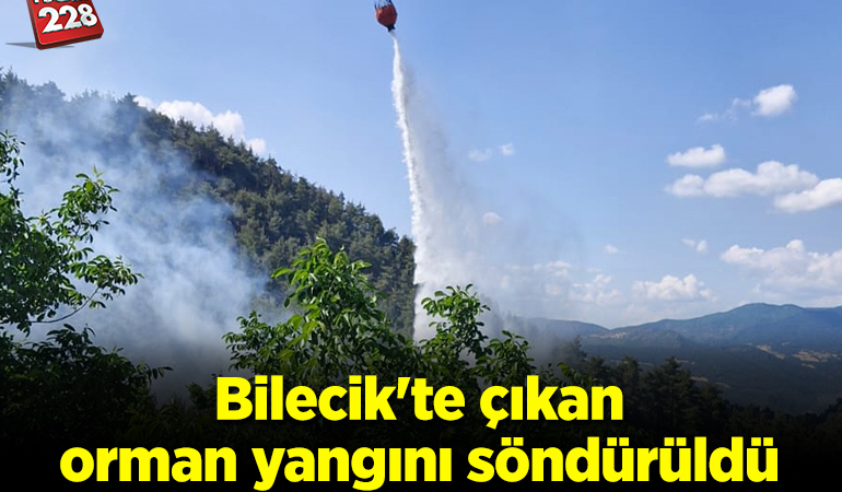 Bilecik’te çıkan orman yangını söndürüldü