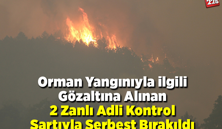 Orman yangınıyla ilgili gözaltına alınan 2 zanlıya adli kontrol