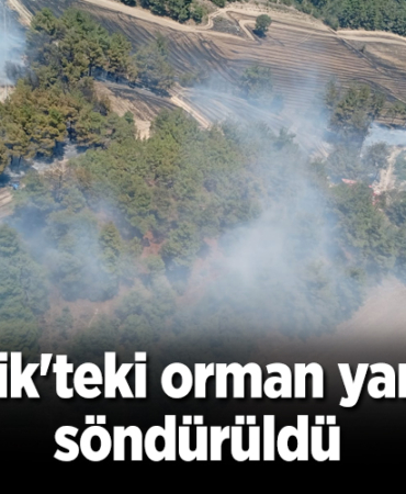 yangın