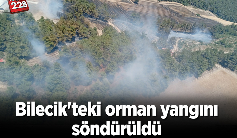 Bilecik’te buğday tarlasında başlayıp ormana sıçrayan yangın söndürüldü