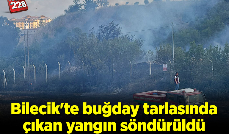 Bilecik’te buğday tarlasında çıkan yangın söndürüldü