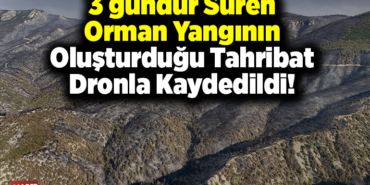 3 gündür süren orman yangının oluşturduğu tahribat dronla kaydedildi.