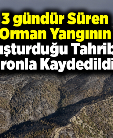 3 gündür süren orman yangının oluşturduğu tahribat dronla kaydedildi.