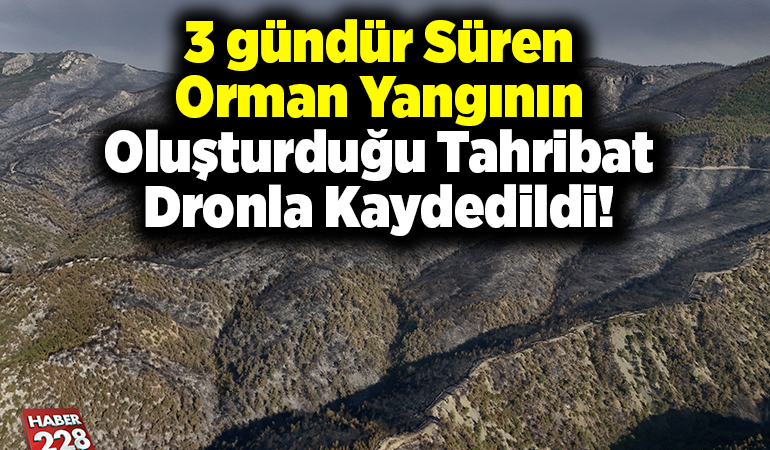 Orman yangınının neden olduğu tahribat havadan görüntülendi
