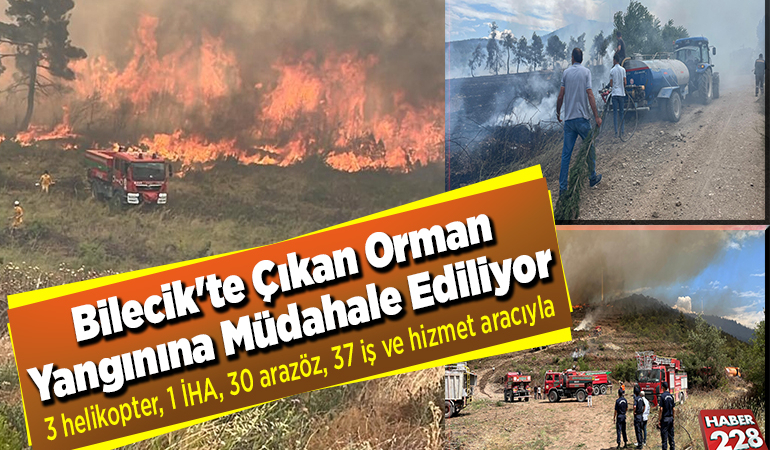 Bilecik’te çıkan orman yangınına müdahale ediliyor