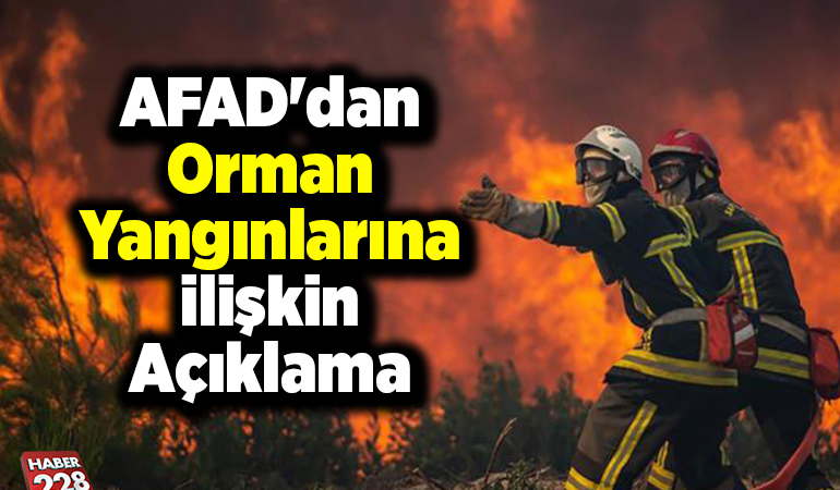 AFAD’dan orman yangınlarına ilişkin açıklama: