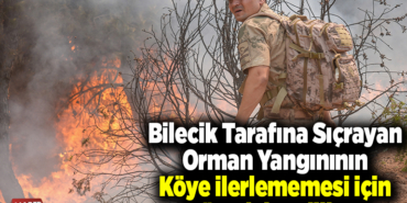 Bilecik tarafına sıçrayan orman yangınının köye ilerlememesi için mücadele ediliyor