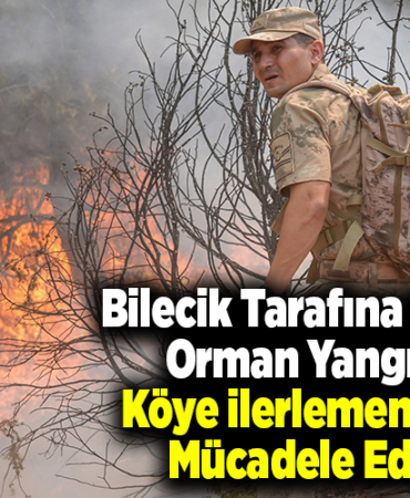 Bilecik tarafına sıçrayan orman yangınının köye ilerlememesi için mücadele ediliyor