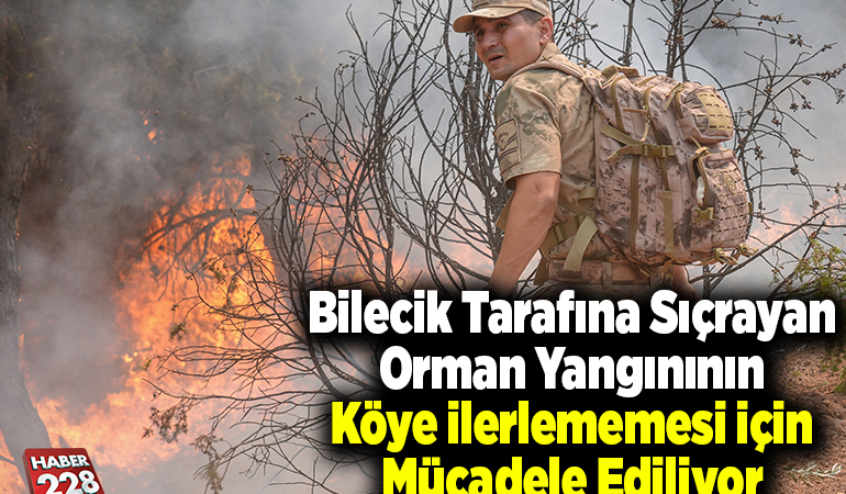 Bilecik tarafına sıçrayan orman yangınının köye ilerlememesi için mücadele ediliyor