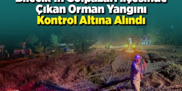 Bilecik'in Gölpazarı ilçesinde çıkan orman yangını kontrol altına alındı