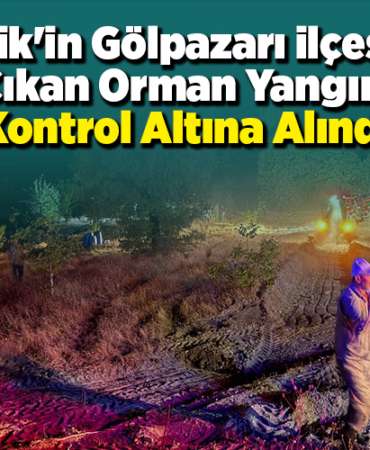 Bilecik'in Gölpazarı ilçesinde çıkan orman yangını kontrol altına alındı