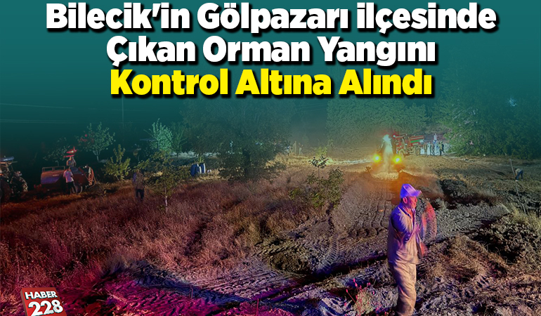 Bilecik’in Gölpazarı ilçesinde çıkan orman yangını kontrol altına alındı