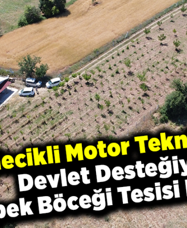 Bilecikli motor teknisyeni devlet desteğiyle ipek böceği tesisi kurdu