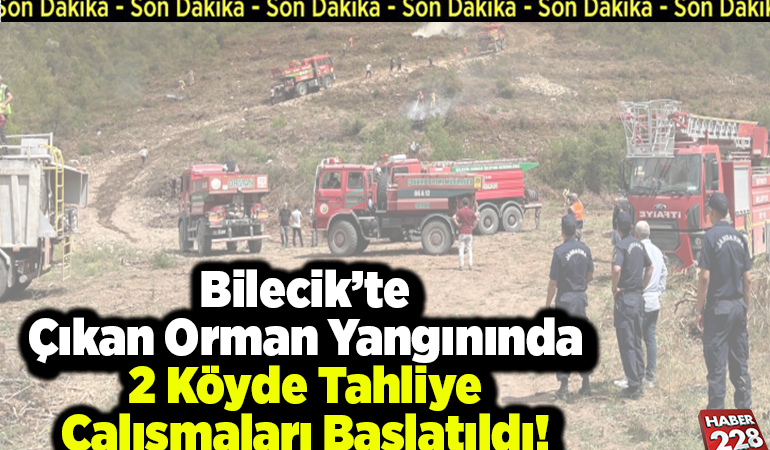 (SON DAKİKA) Bilecik’te Çıkan Orman Yangınında 2 Köyde Tahliye Çalışmaları Başlatıldı!