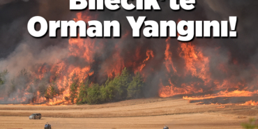 Bilecik'te Orman Yangını!