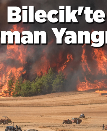 Bilecik'te Orman Yangını!