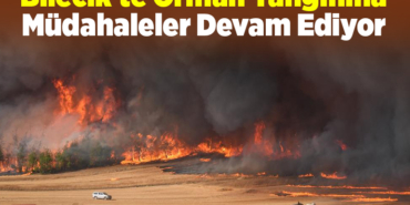 Bilecik'te Orman Yangınına Müdahaleler Devam Ediyor