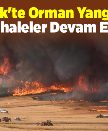 Bilecik'te Orman Yangınına Müdahaleler Devam Ediyor