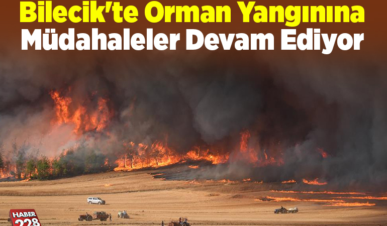 Bilecik’te Orman Yangınına Müdahaleler Devam Ediyor