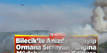 Bilecik'te anızda başlayıp ormana sıçrayan yangına müdahale ediliyor