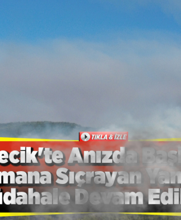 Bilecik'te anızda başlayıp ormana sıçrayan yangına müdahale ediliyor
