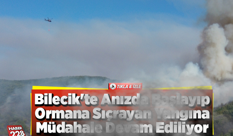 Bilecik’te anızda başlayıp ormana sıçrayan yangına müdahale ediliyor
