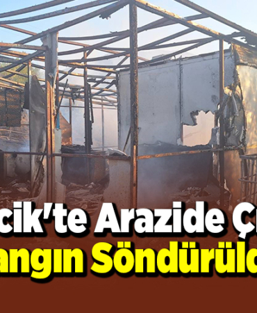 Bilecik'te arazide çıkan yangın söndürüldü
