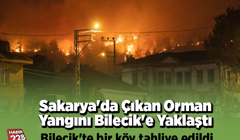 Sakarya’da çıkan orman yangını Bilecik’e Yaklaştı Bilecik’te bir köy tahliye edildi