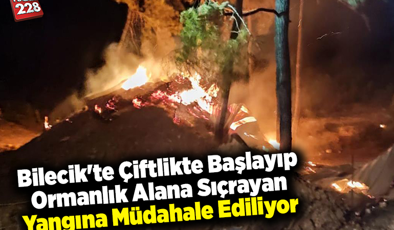 Bilecik’te çiftlikte başlayıp ormanlık alana sıçrayan yangına müdahale ediliyor