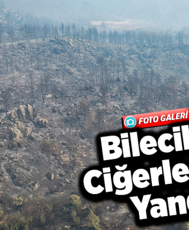 Bilecikte ciğerlerimiz yandı