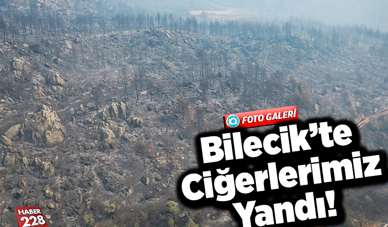 Bilecik’te Ciğerlerimiz Yandı! (FOTO GALERİ)