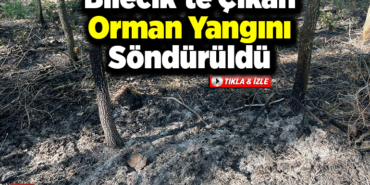 Bilecik'te çıkan orman yangını söndürüldü
