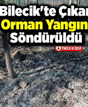 Bilecik'te çıkan orman yangını söndürüldü