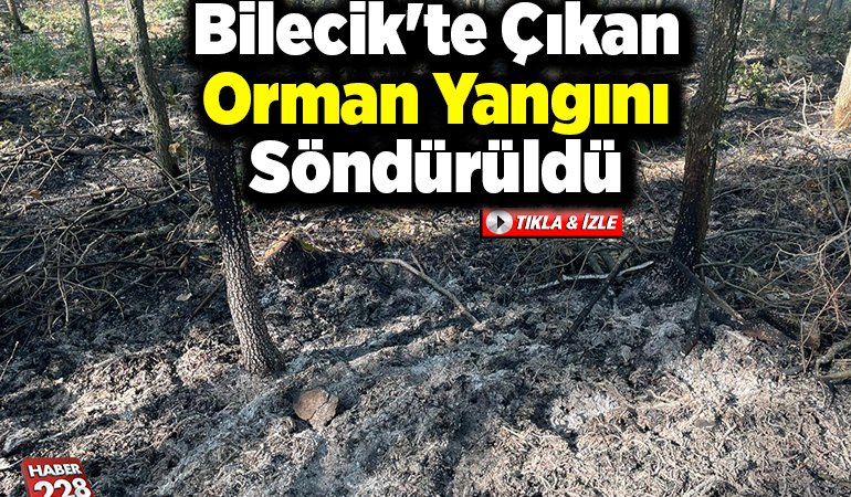 Bilecik’te çıkan orman yangını söndürüldü