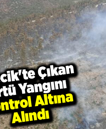 Bilecik'te çıkan örtü yangını kontrol altına alındı