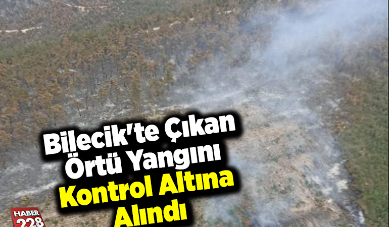 Bilecik’te çıkan örtü yangını kontrol altına alındı