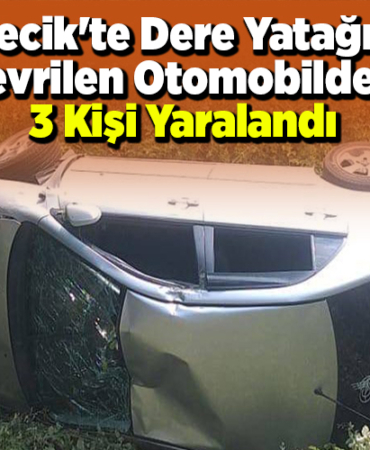 Bilecik'te dere yatağına devrilen otomobildeki 3 kişi yaralandı