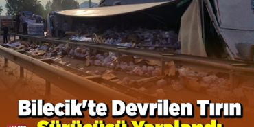 Bilecik'te devrilen tırın sürücüsü yaralandı