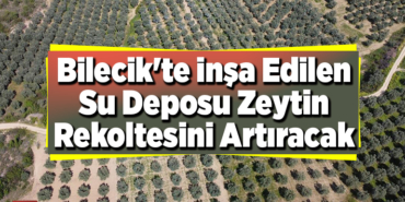 Bilecik'te inşa edilen su deposu zeytin rekoltesini artıracak