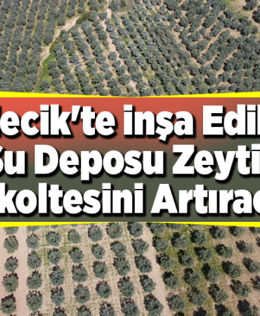 Bilecik'te inşa edilen su deposu zeytin rekoltesini artıracak