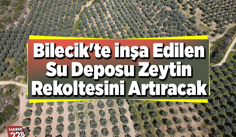 Bilecik’te inşa edilen su deposu zeytin rekoltesini artıracak