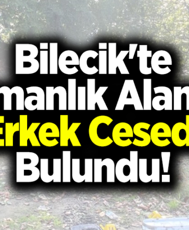 Bilecik'te ormanlık alanda erkek cesedi bulundu