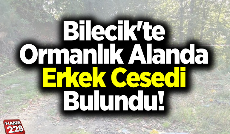 Bilecik’te ormanlık alanda erkek cesedi bulundu