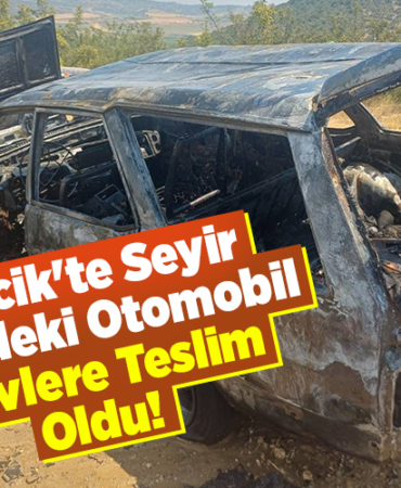 Bilecik'te seyir halindeki otomobil yandı